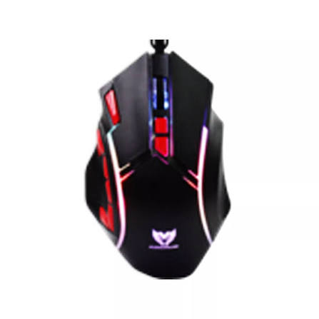 SOURIS