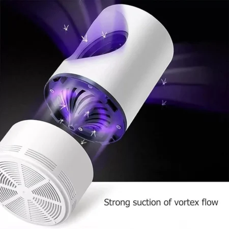 Lampe