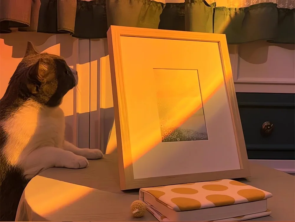 Lampe