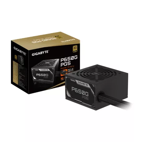GP-P650G