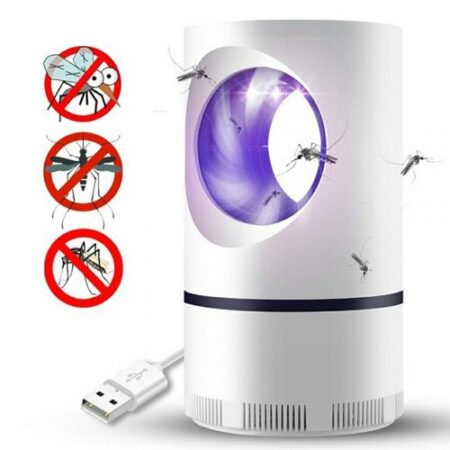 Lampe