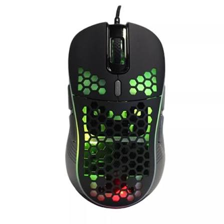 SOURIS