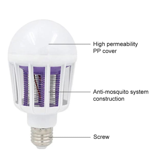 Lampe