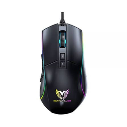 SOURIS