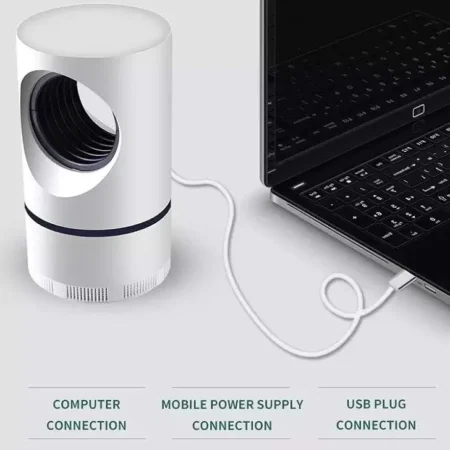 Lampe