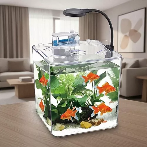 Aquarium