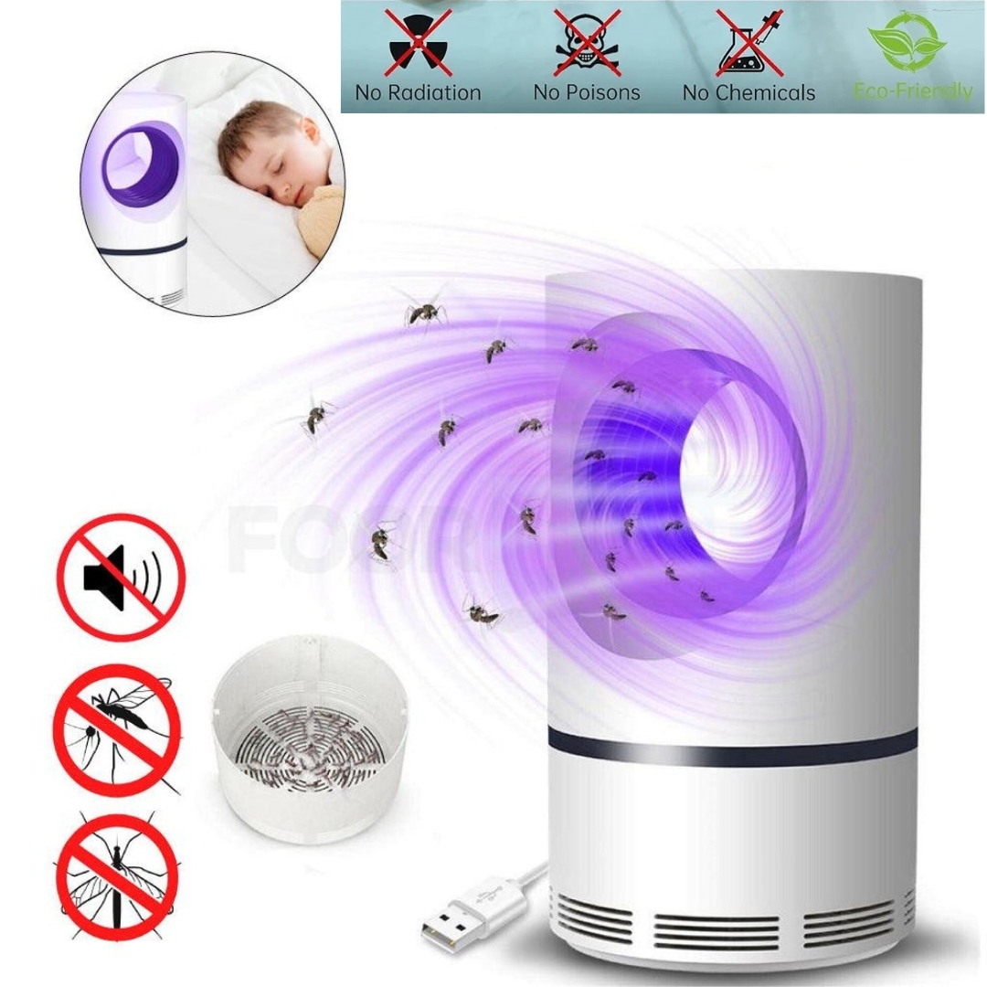 Lampe