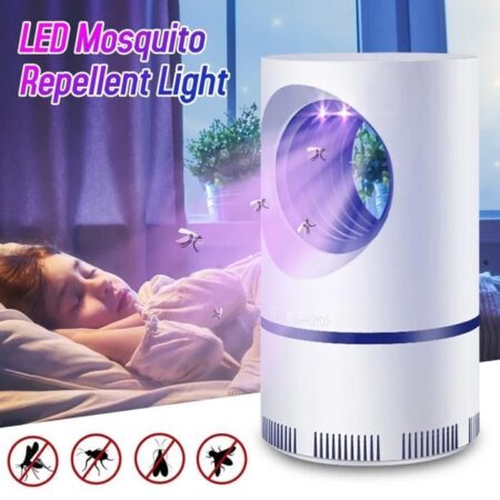 Lampe