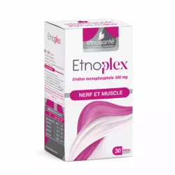 ETNOPLEX