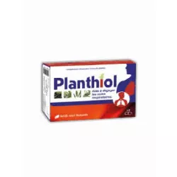 PLANTHERAPIE