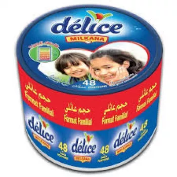Fromage fondu MILKANA DELICE   48 portions